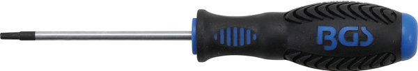 Schraubendreher | T-Profil (für Torx) mit Bohrung T15 | Klingenlänge 80 mm